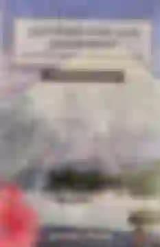 ¿Quiénes son los japoneses?1