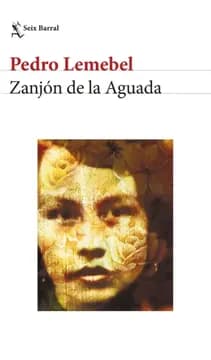 Zanjón de la Aguada1