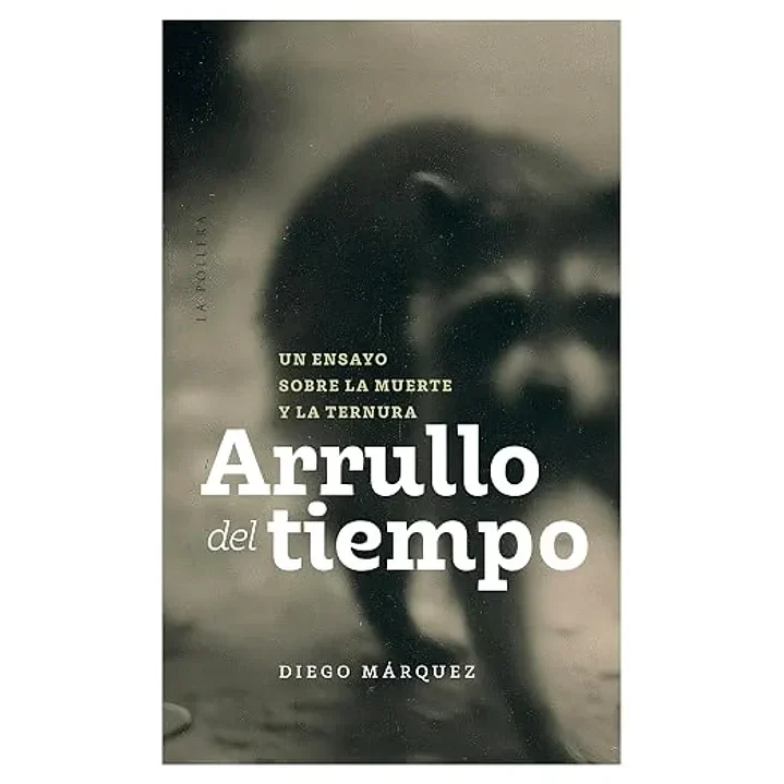 Arrullo del tiempo1