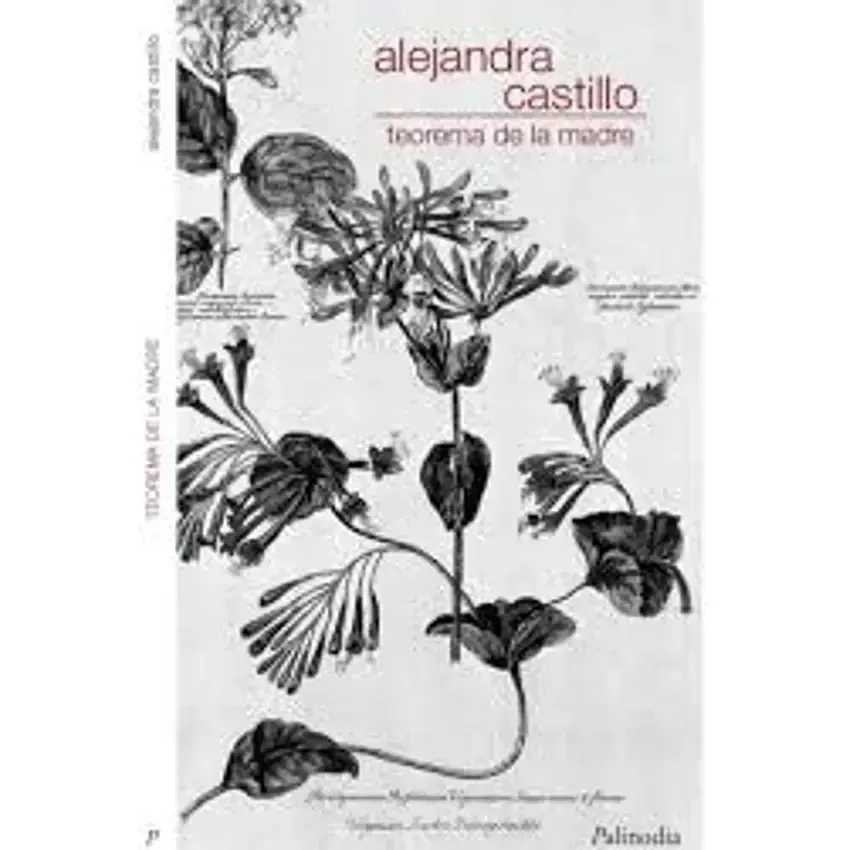 Teorema de la madre1