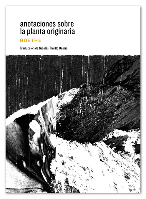 Anotaciones sobre la planta originaria1