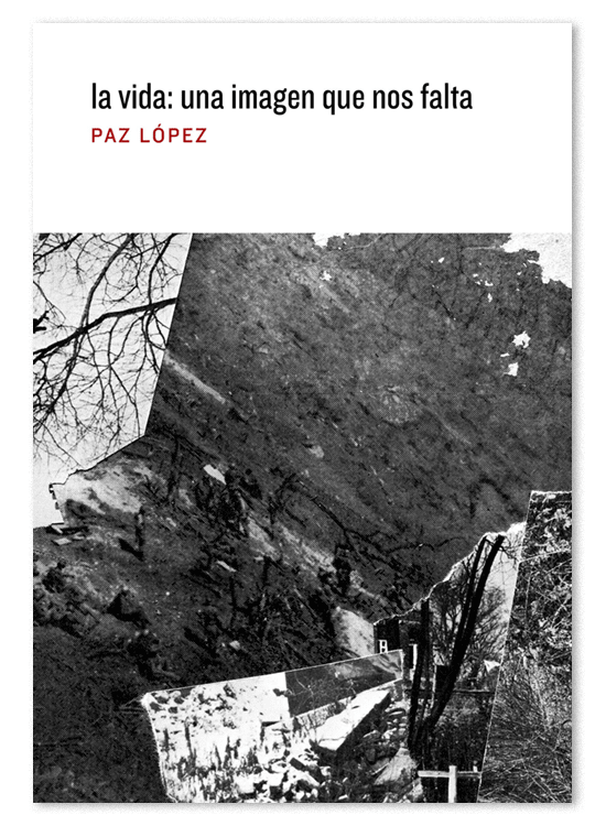 La vida, una imagen que nos falta 2