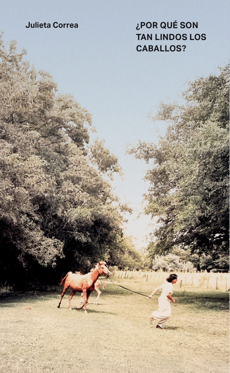 ¿Por qué son tan lindos los caballos?1