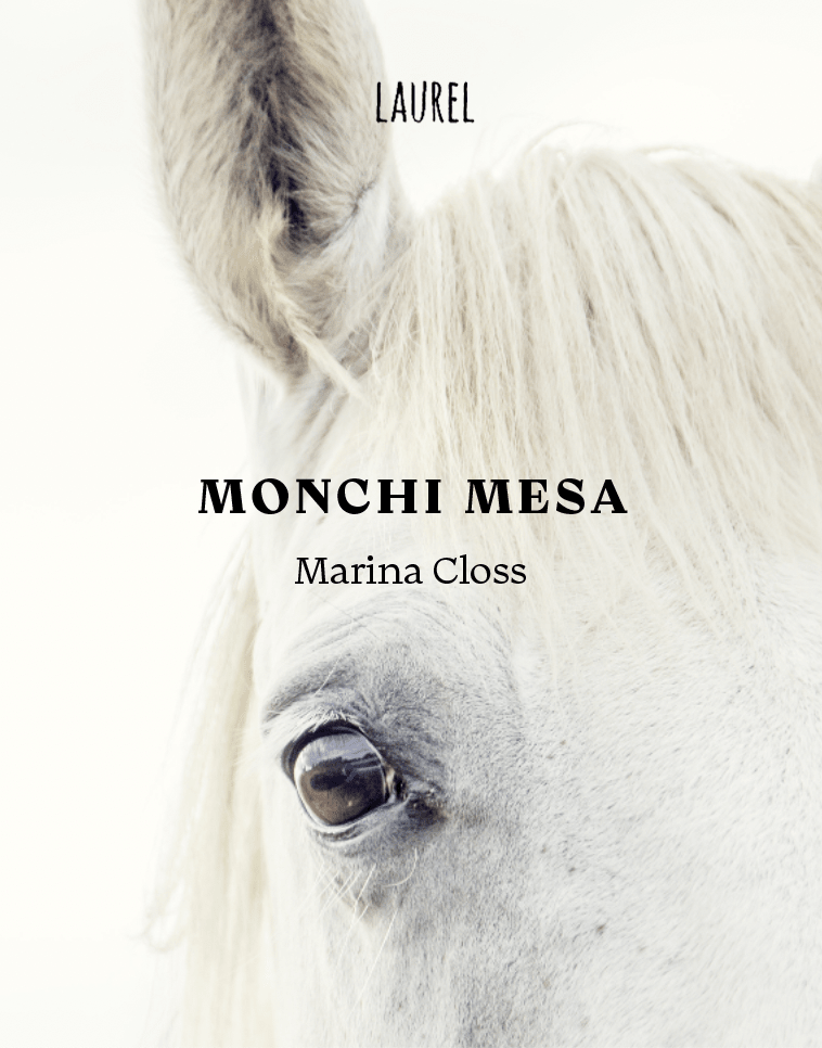 Monchi mesa1