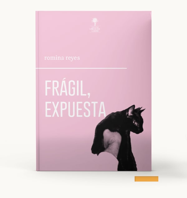 Frágil, expuesta1