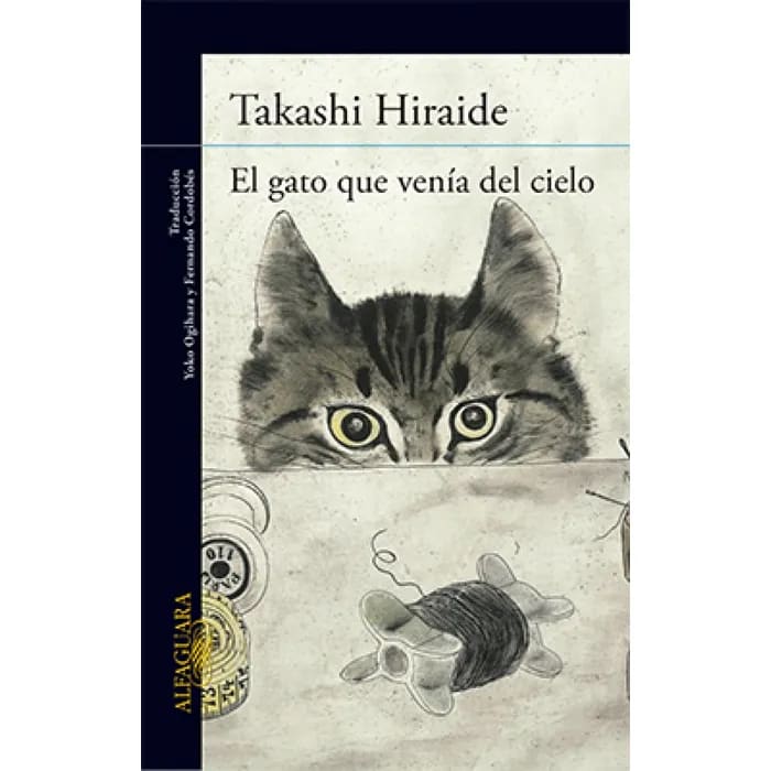 El gato que venía del cielo 1