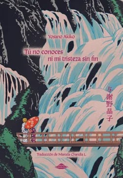 Tú no conoces ni mi tristeza sin fin1