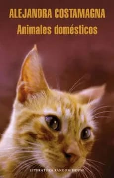 Animales domésticos1