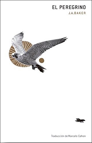 El peregrino2
