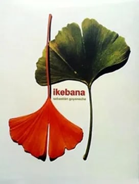 Ikebana1