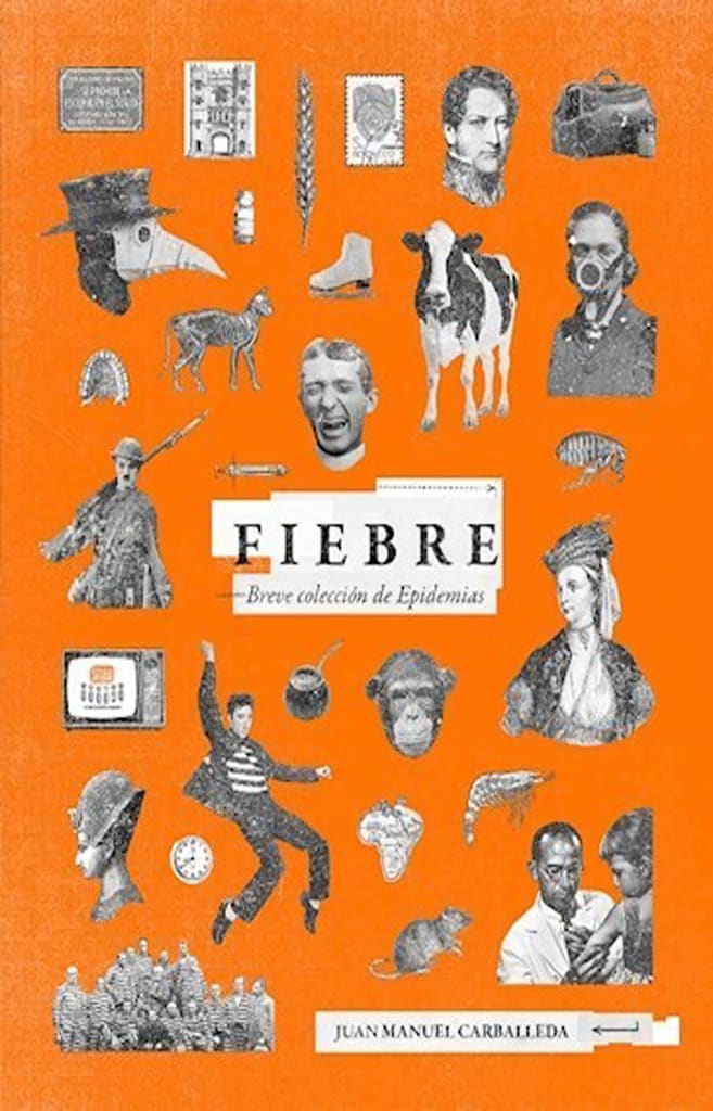 Fiebre breve coleccion de epidemias1