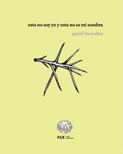 Esta no soy yo y esta no es mi sombra1