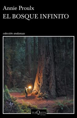El bosque infinito1