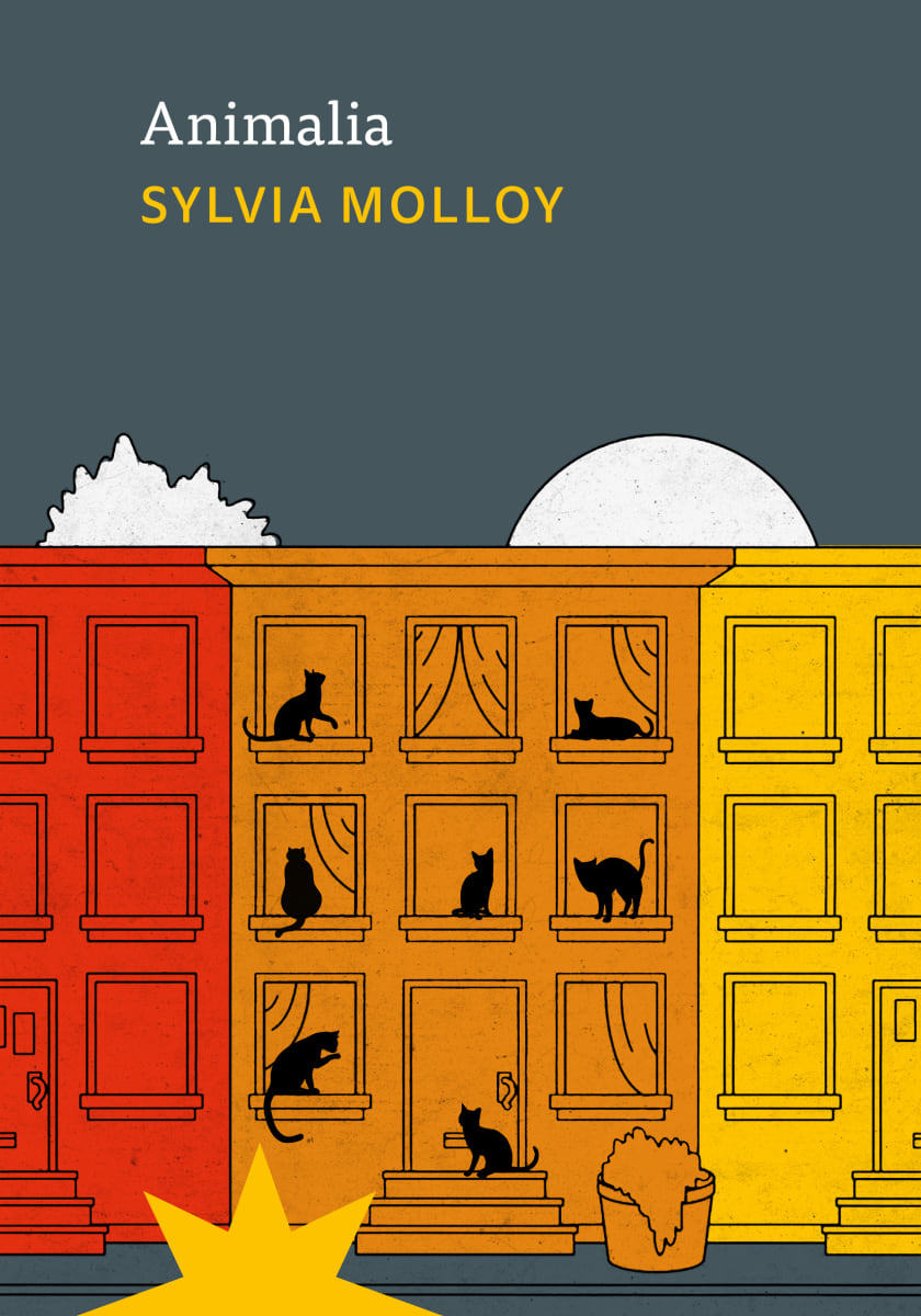 Animalia 3