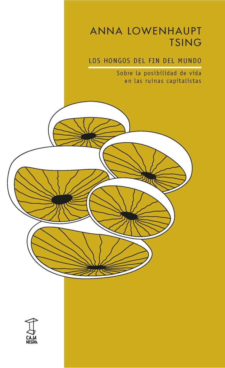 Los hongos del fin del mundo4