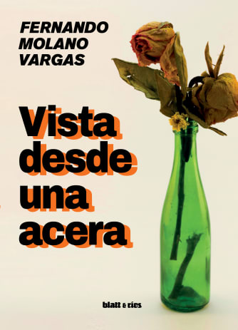 VISTA DESDE UNA ACERA1