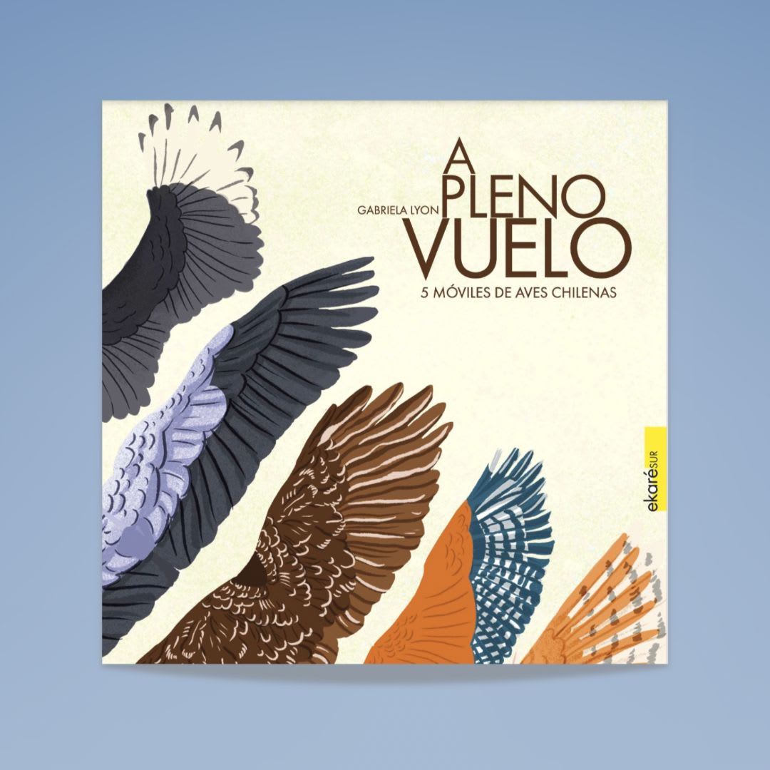 A pleno vuelo1