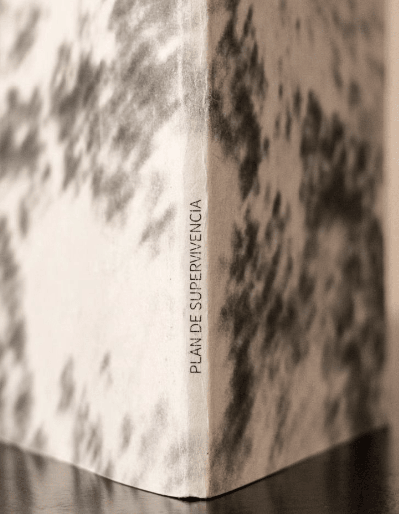 Plan de supervivencia 3