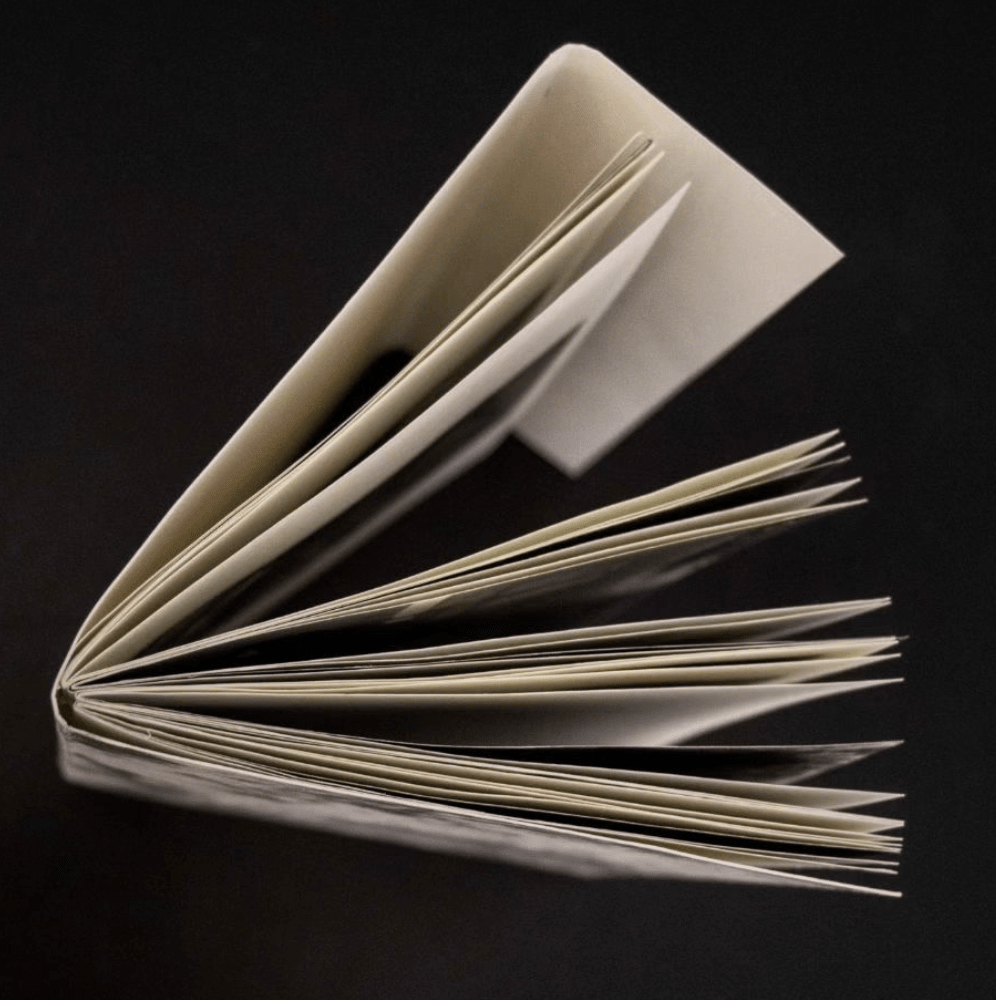 Plan de supervivencia 2