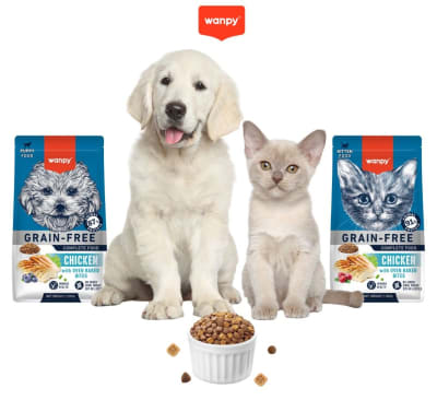 La importancia de una buena nutrición en perros y gatos