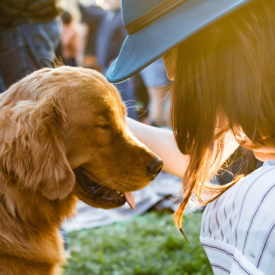 Tips y recomendaciones