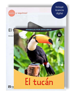 1°PRIM LISSON( L+F - EL TUCÁN, ¡ME ABURROOO! Y PASTOR MENTIROSO)