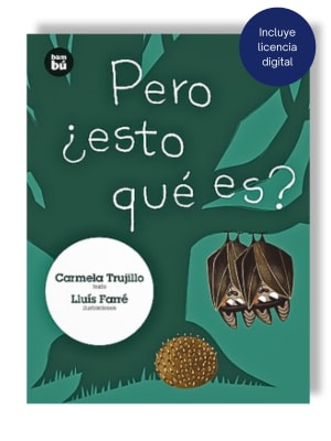 PERO ¿ESTO QUÉ ES?