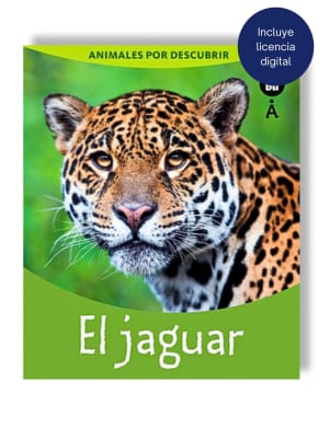 EL JAGUAR - AVANZA