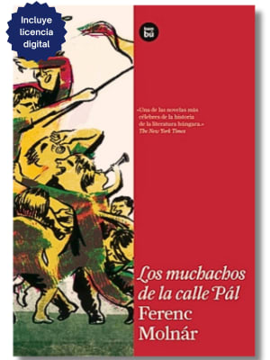 LOS MUCHACHOS DE LA CALLE PAL