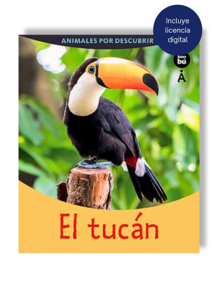 EL TUCÁN
