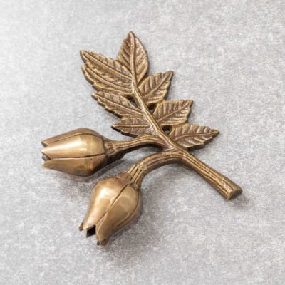 Pisapapeles flor dorado