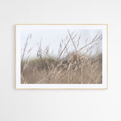 Cuadro plantas costeras silvestres