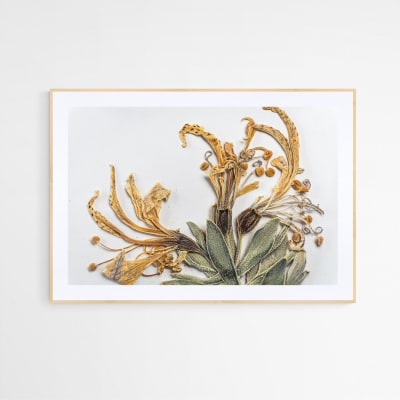 Cuadro flor seca Alstroemeria Andina Venustula