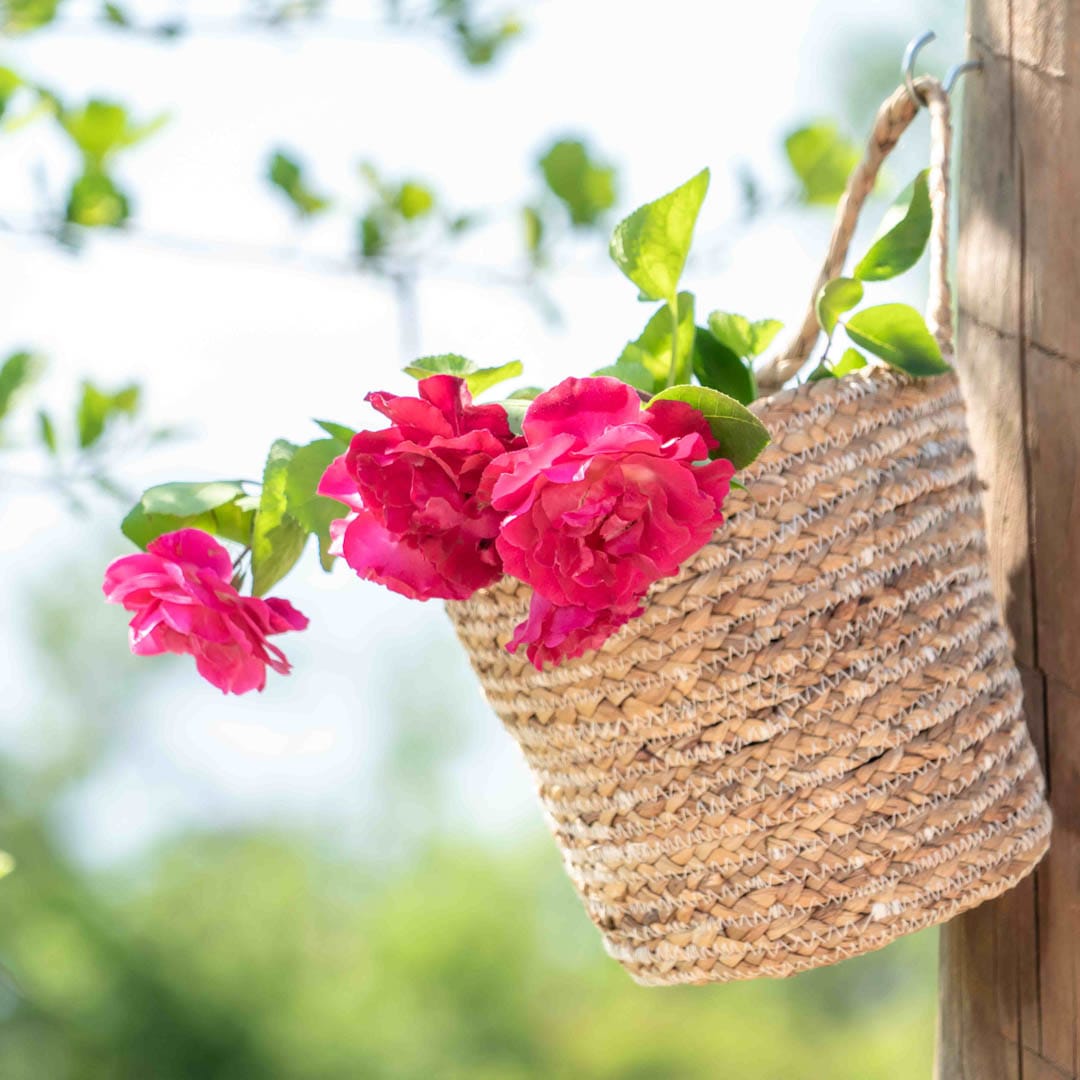 Canasto colgante de fibra natural2