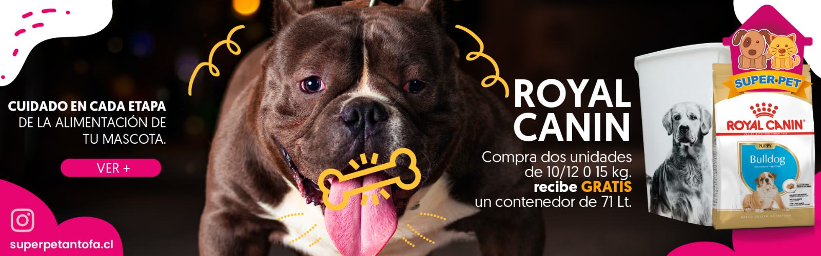 Pack Royal Canin