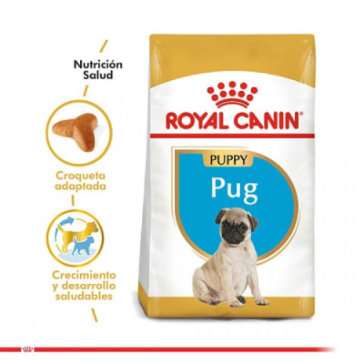 Royal Canin Cachorro Pug Junior alimento para perro1