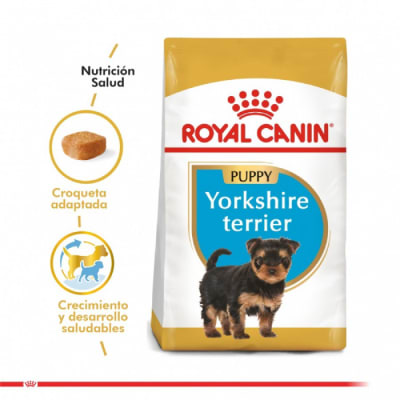 Royal Canin Cachorro Yorkshire Terrier Junior alimento para perro1