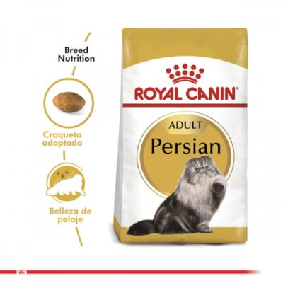 Royal Canin adulto persian alimento para gato1