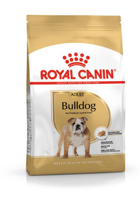 Royal Canin adulto Bulldog Inles alimento para perro