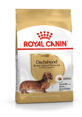 Royal Canin adulto Dachshund alimento para perro1