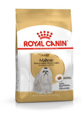 Royal Canin adulto Maltes Adult alimento para perro