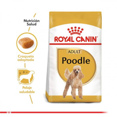Royal Canin adulto Poodle Adult alimento para perro1