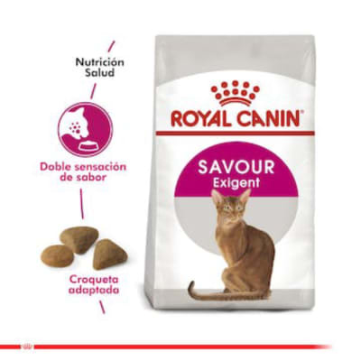 Royal Canin adulto Exigent alimento para gato1