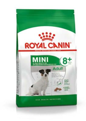 Royal Canin adulto Mini Adult +8 alimento para perro1