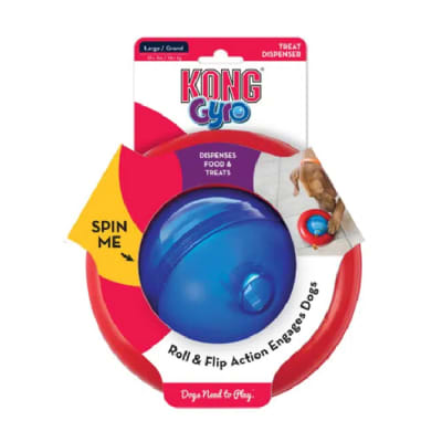 KONG GYRO1