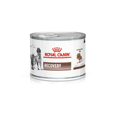 Royal Canin Recovery Alimento Húmedo Perro Adulto y Gato1