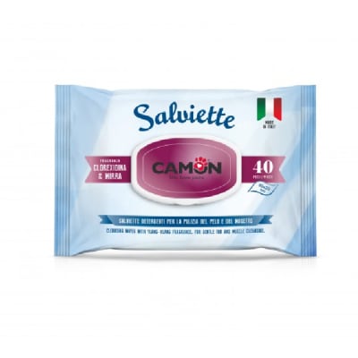 TOALLITAS HUMEDAS - CLORHEXIDINA Y MIRRA (40 UN)