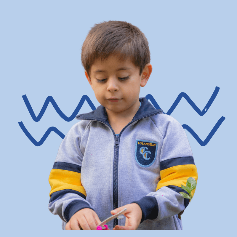 POLERON DEPORTE COLEGIO CONCEPCION