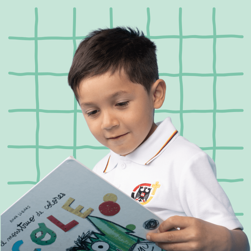 POLERA UNIFORME M/CORTA LICEO ALEMAN