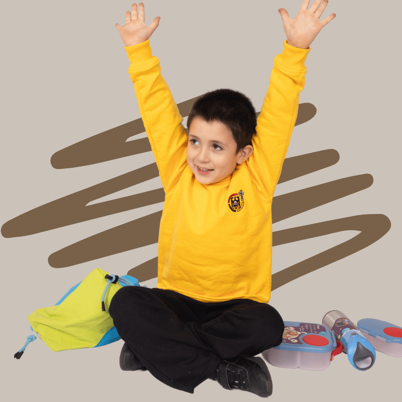 POLERON DEPORTE POLO LICEO ALEMAN